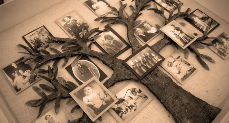 arbol genealogico