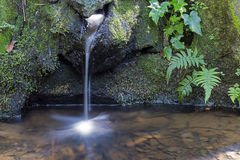 fuente natural
